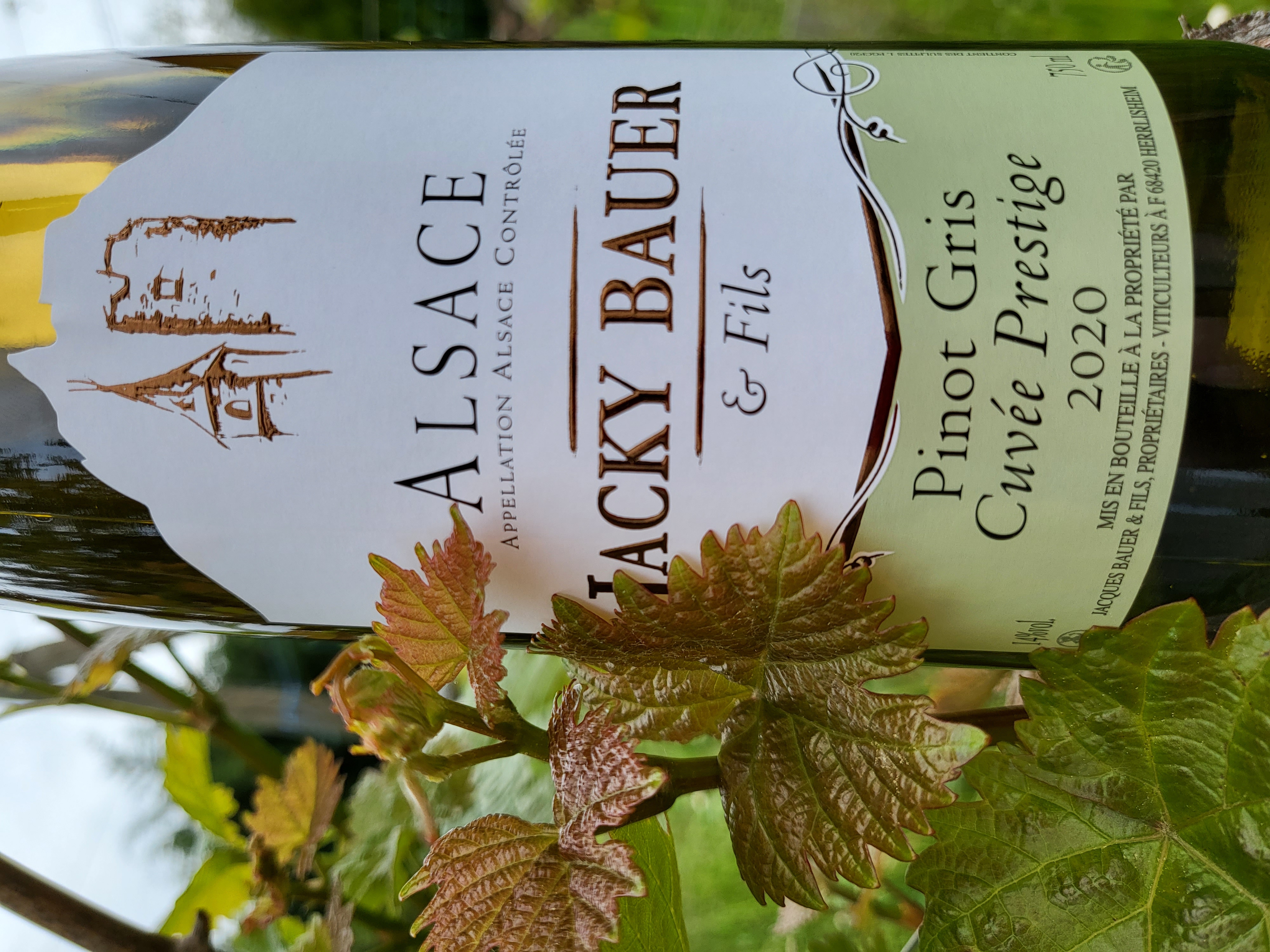 Pinot Gris Cuvée Prestige