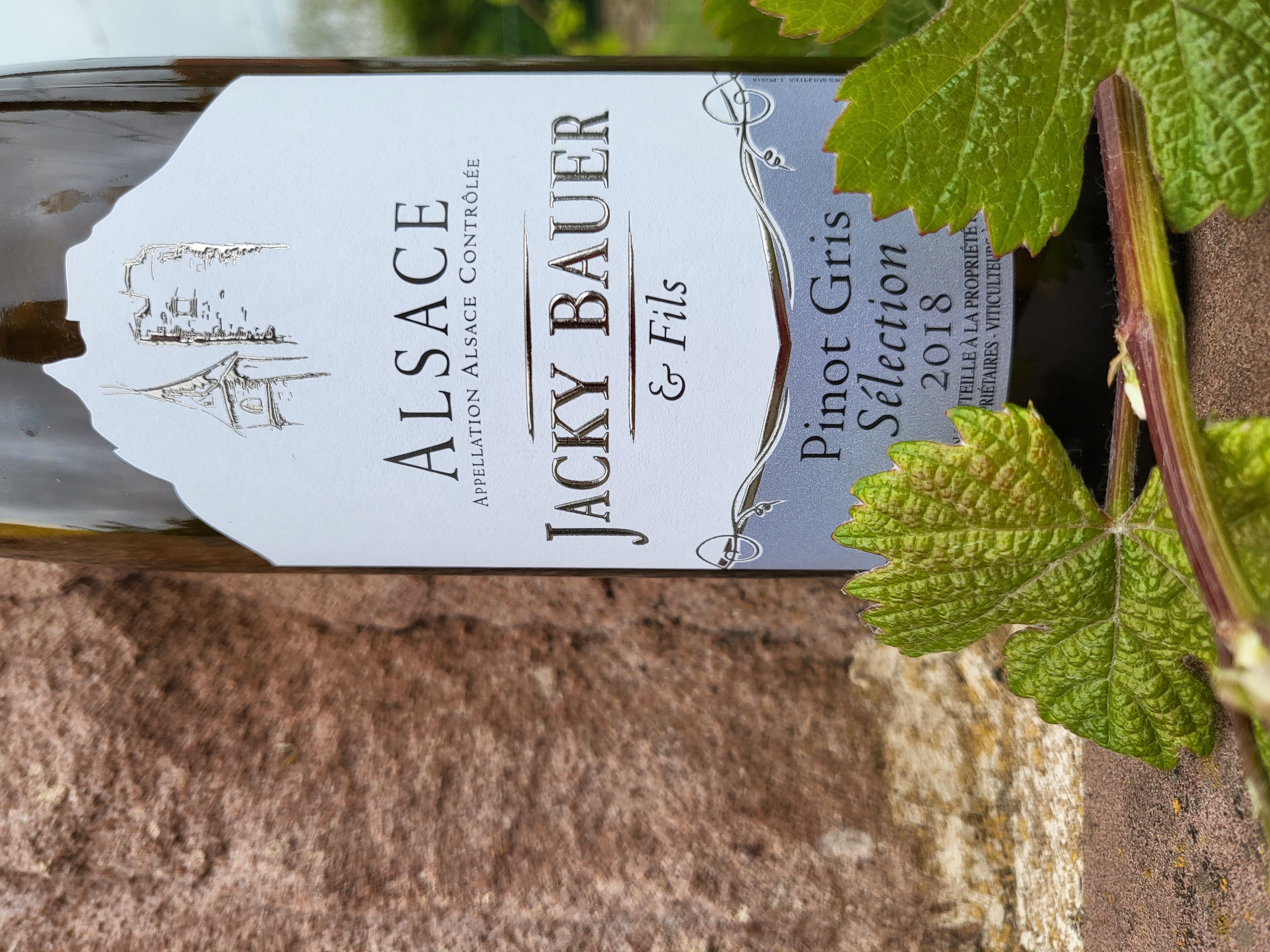 Pinot Gris Sélection