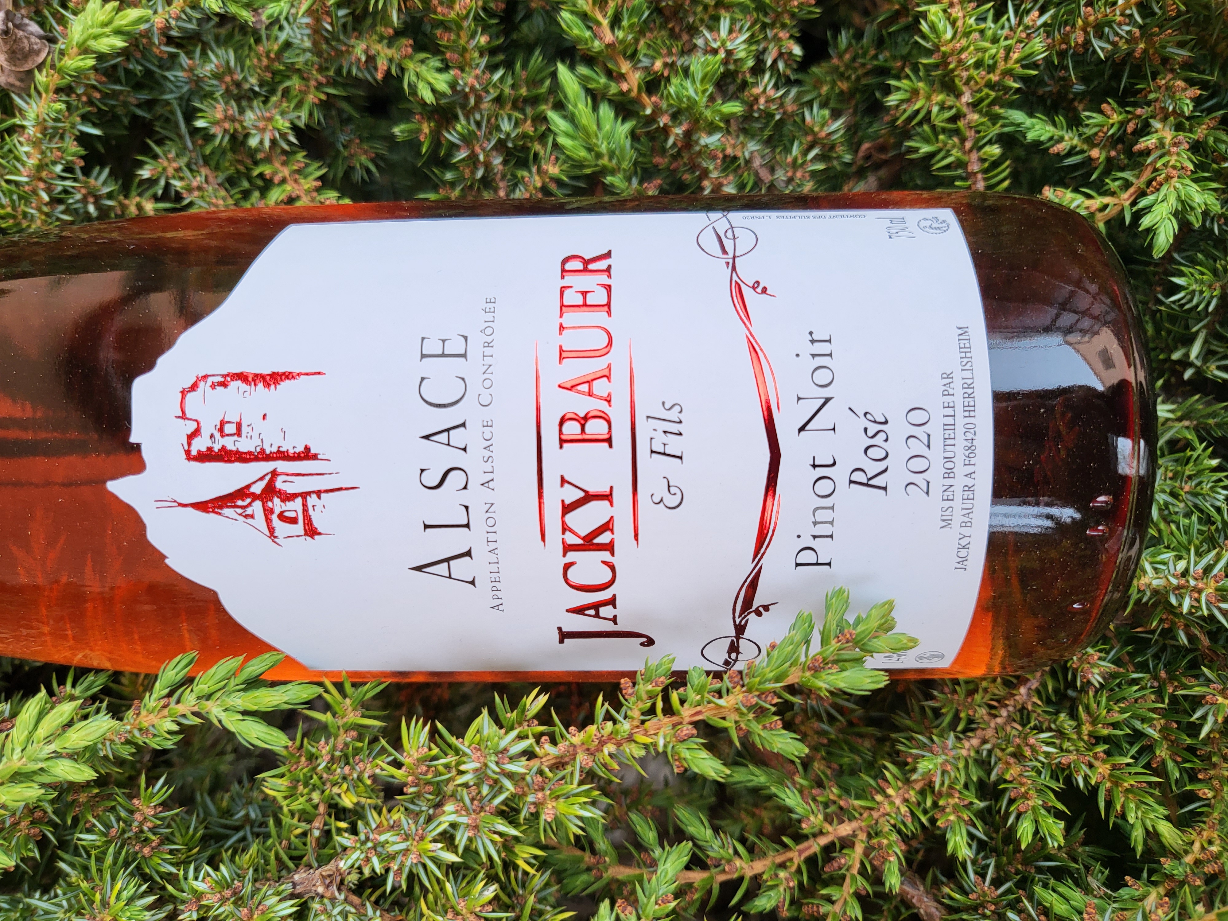 Pinot Noir Rosé