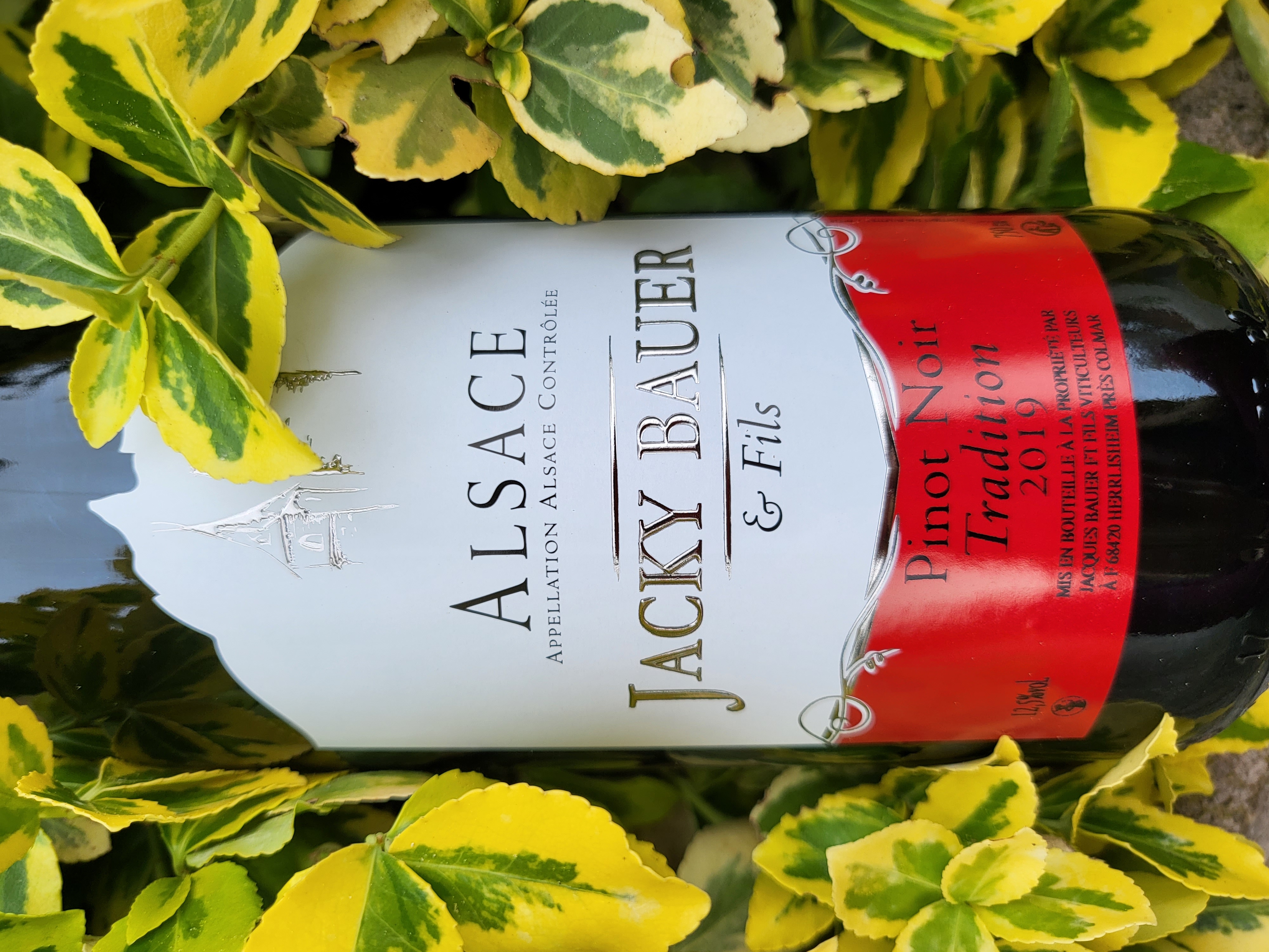 Pinot Noir Cuvée Traditionnelle